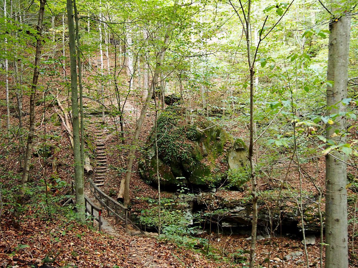Carter Caves State Resort Park Olive Hill Exteriér fotografie